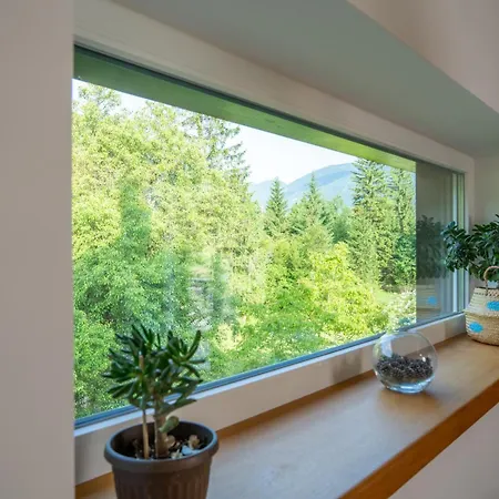 Apartma Hisa Ob Savi